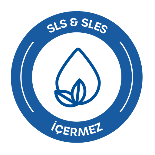17Sls-Sles-icon