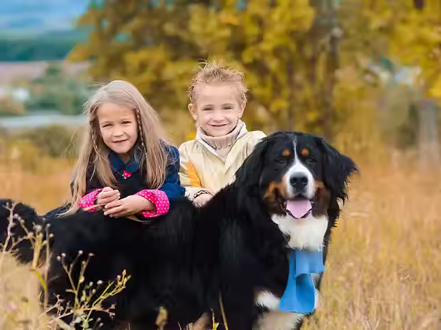 Köpekli çocuklar