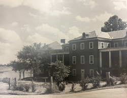 Cottage No.3 (Male)
