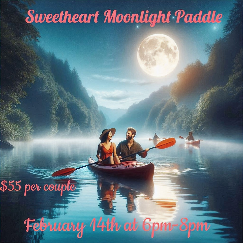 AI generated kayak moon light paddle