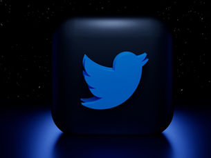 Twitter Thrives on Community, Not Innovation: Why Twitter Persists Despite Elon Musk