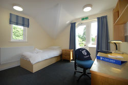 Accommodation - Single Superior