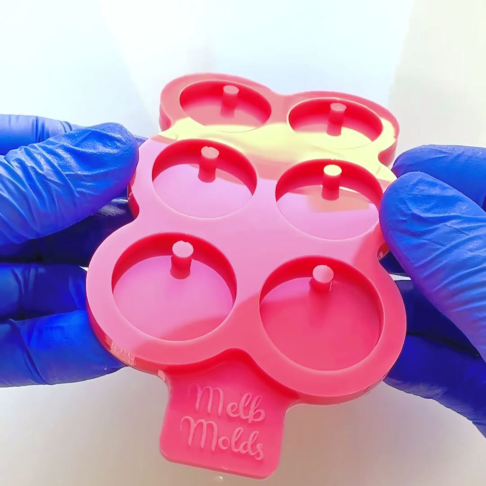 Miniature : Circle Dog Cat Pet Tag Epoxy Resin Silicone Mold Melb Molds MelbMolds