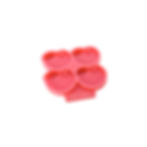 Peach Dog Tag Silicone Mold 🍑 Melb Molds