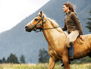 Afraid to Soar · A Pony Tale