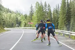 depositphotos_163856686-stock-photo-team-biotlonists-go-on-roller.webp