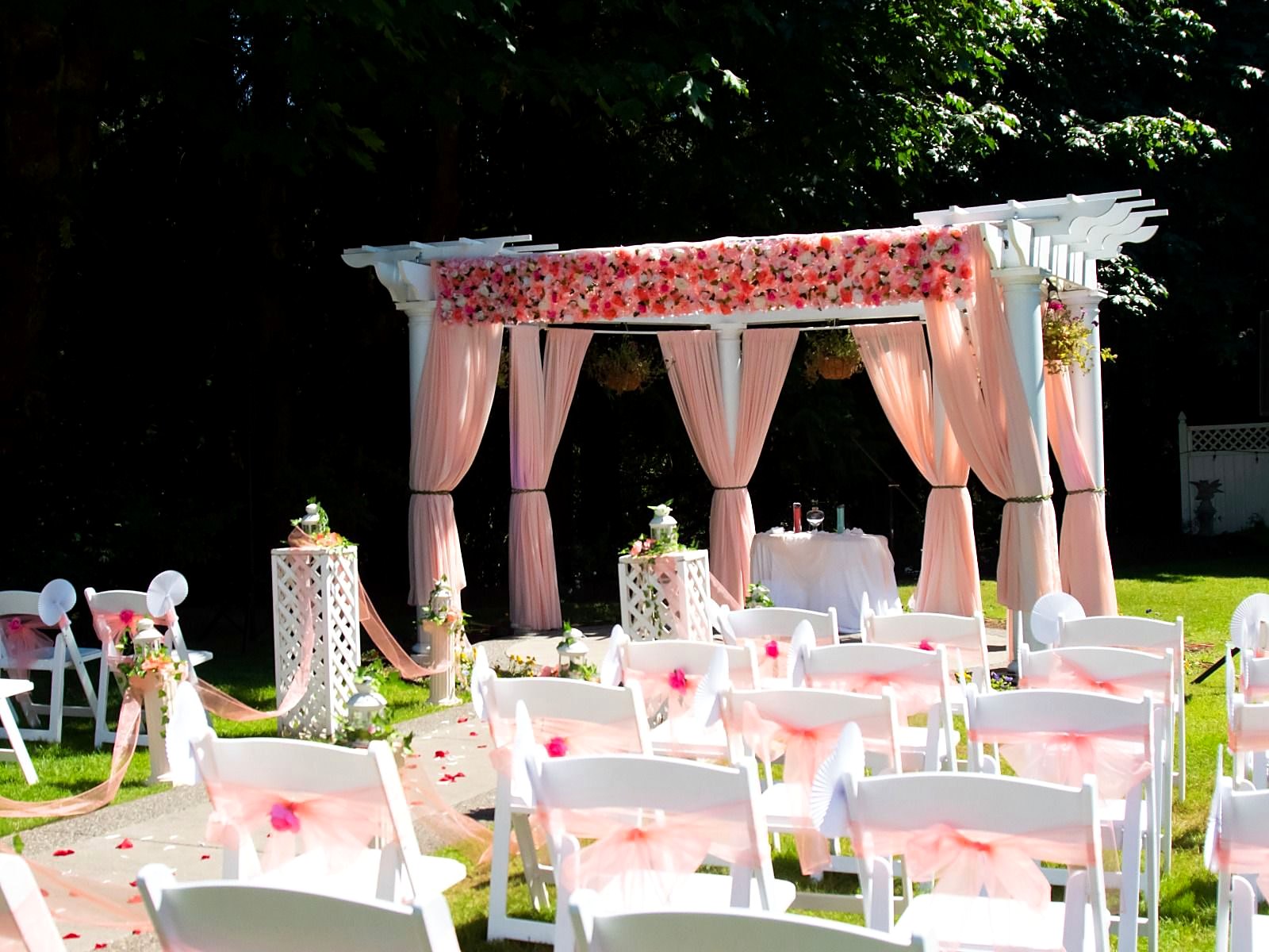 Pergola with a rose-wall canopy and blush drapes, chairs tied with pink sashes