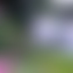 French Creek Manor Outdoor Weddings