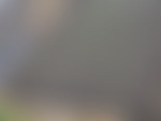 Progress 1 August 2018