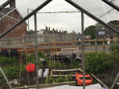 I’ve got glass in my greenhouse!