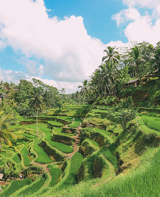 Bali.jpg