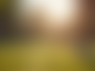 World Menopause Day- Navigating the Challenges of Menopause: Tips for a Smoother Transition