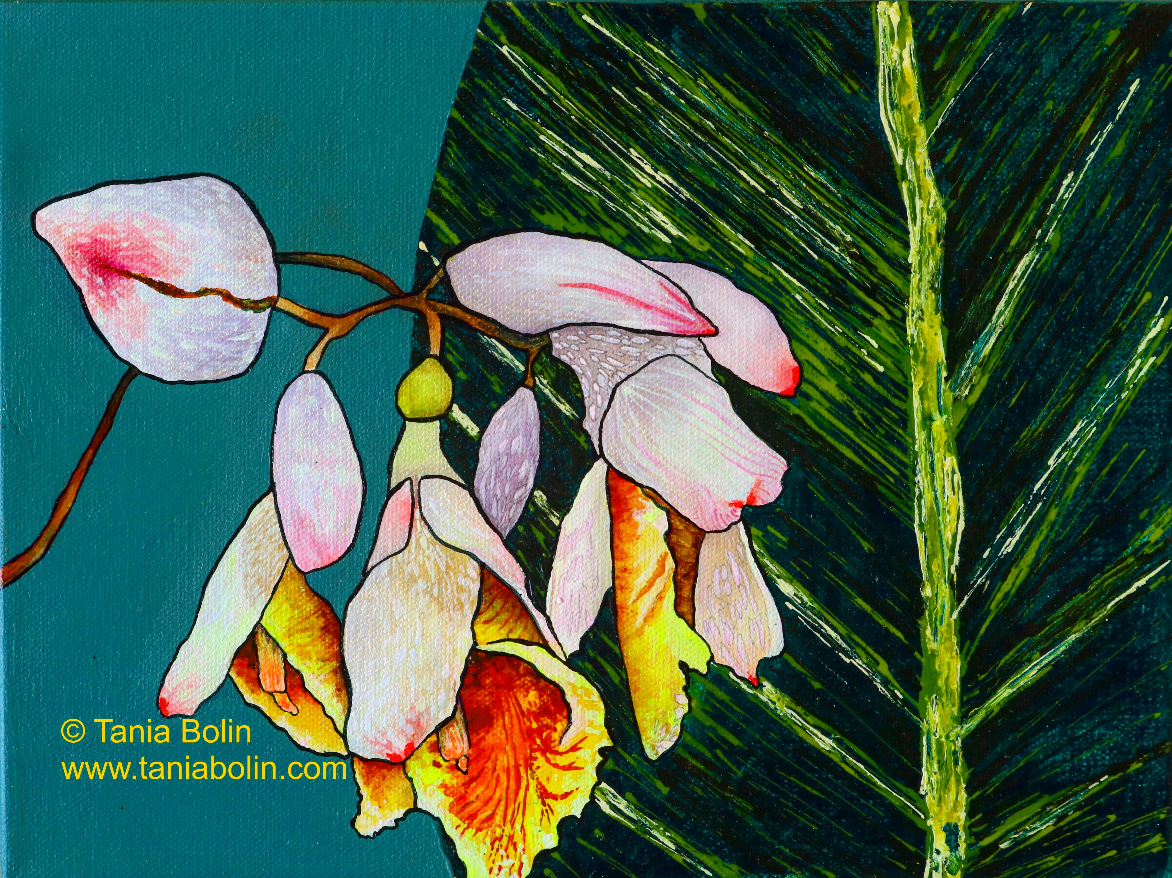 Pink Porcelain Lily