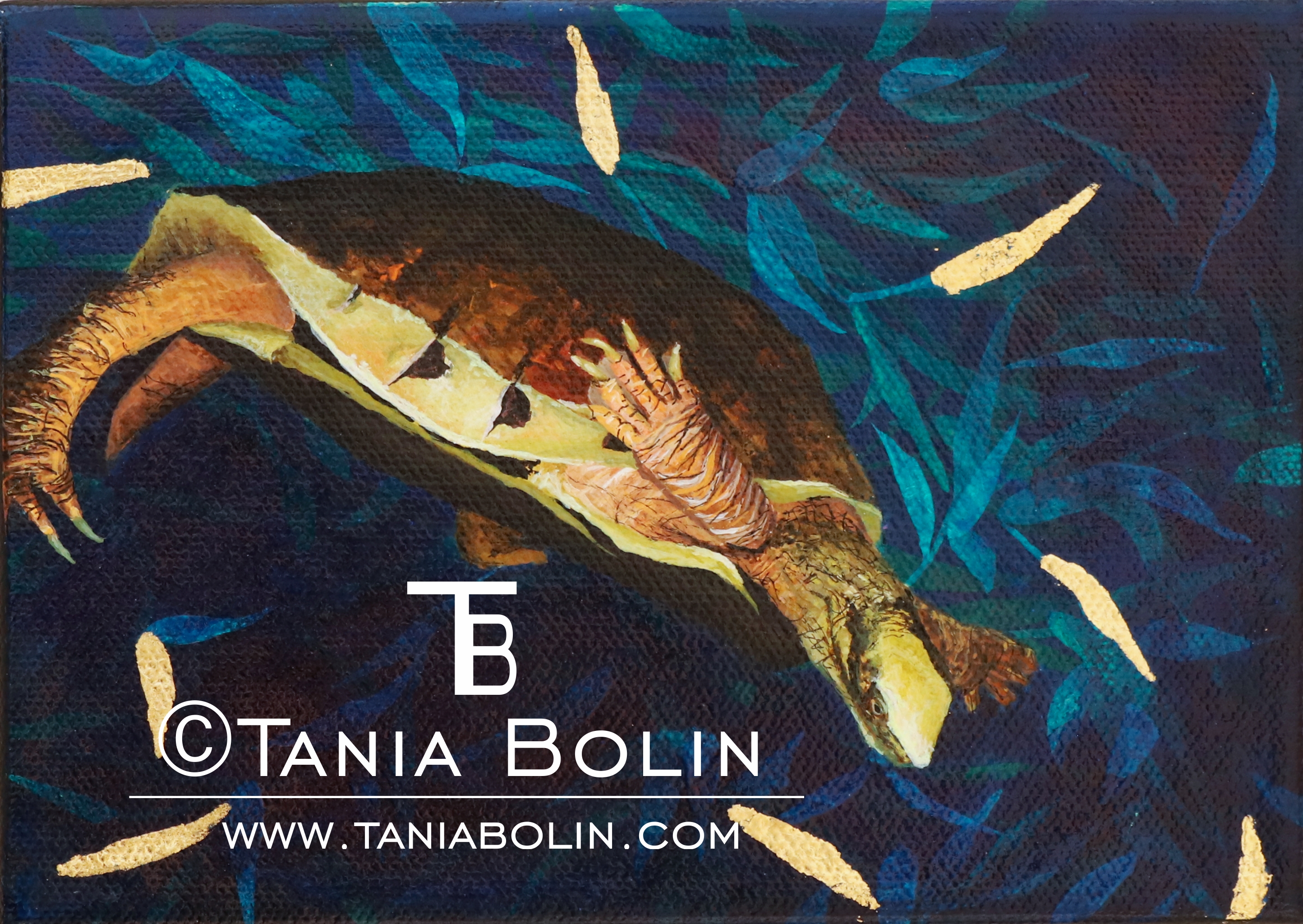 Tortuguita