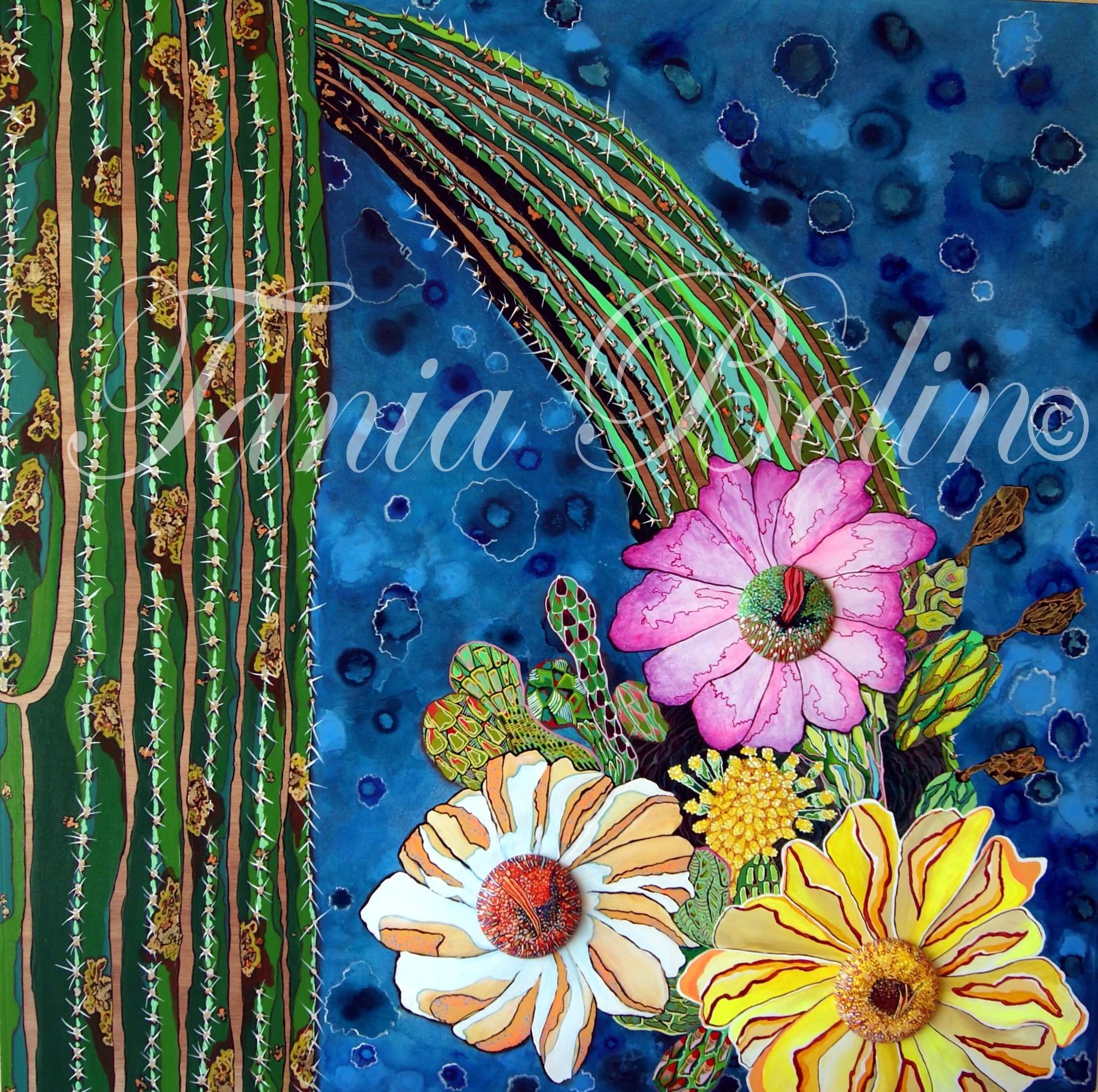 Flora Arizona