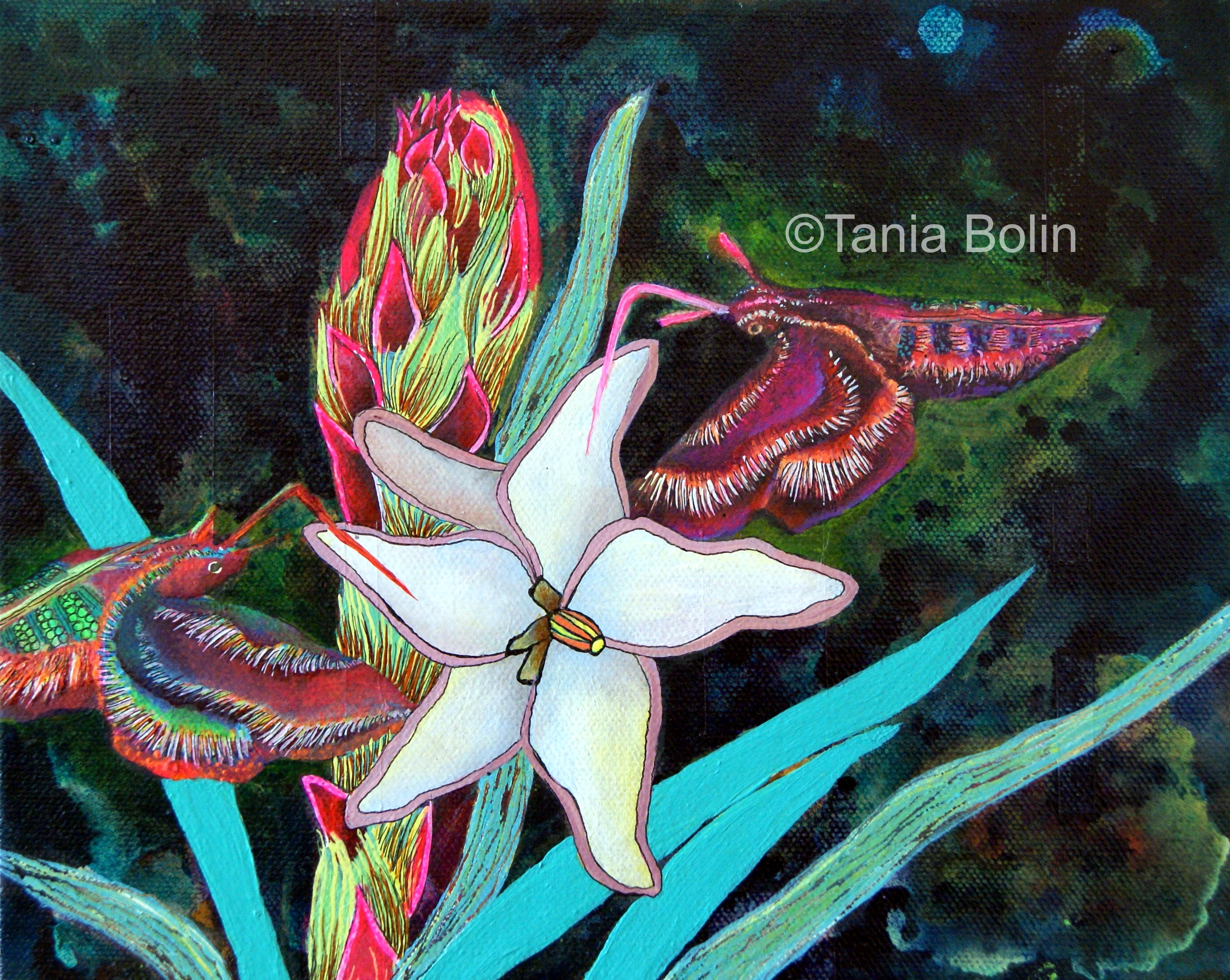 Succulent Yucca