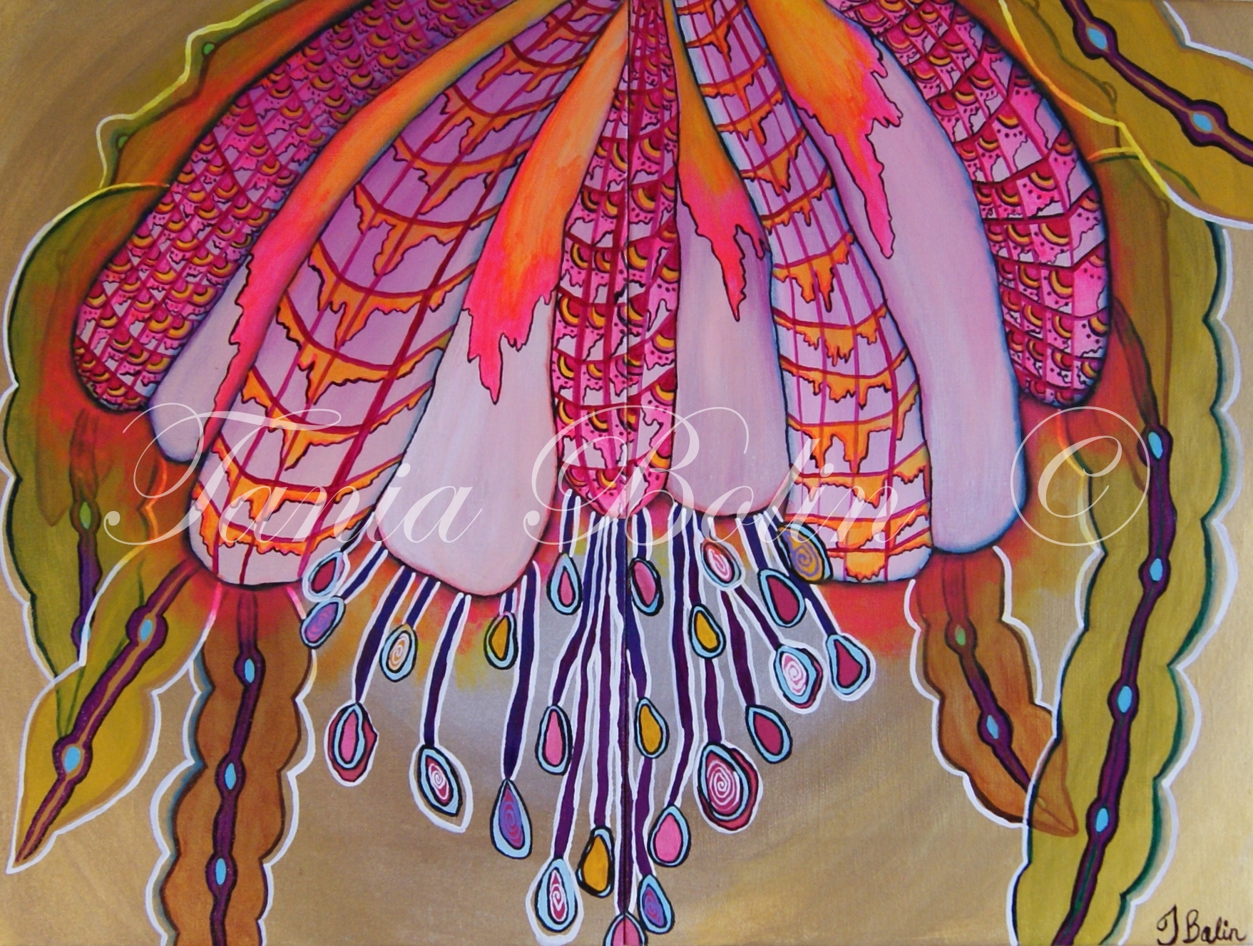 Flora Flamboyant