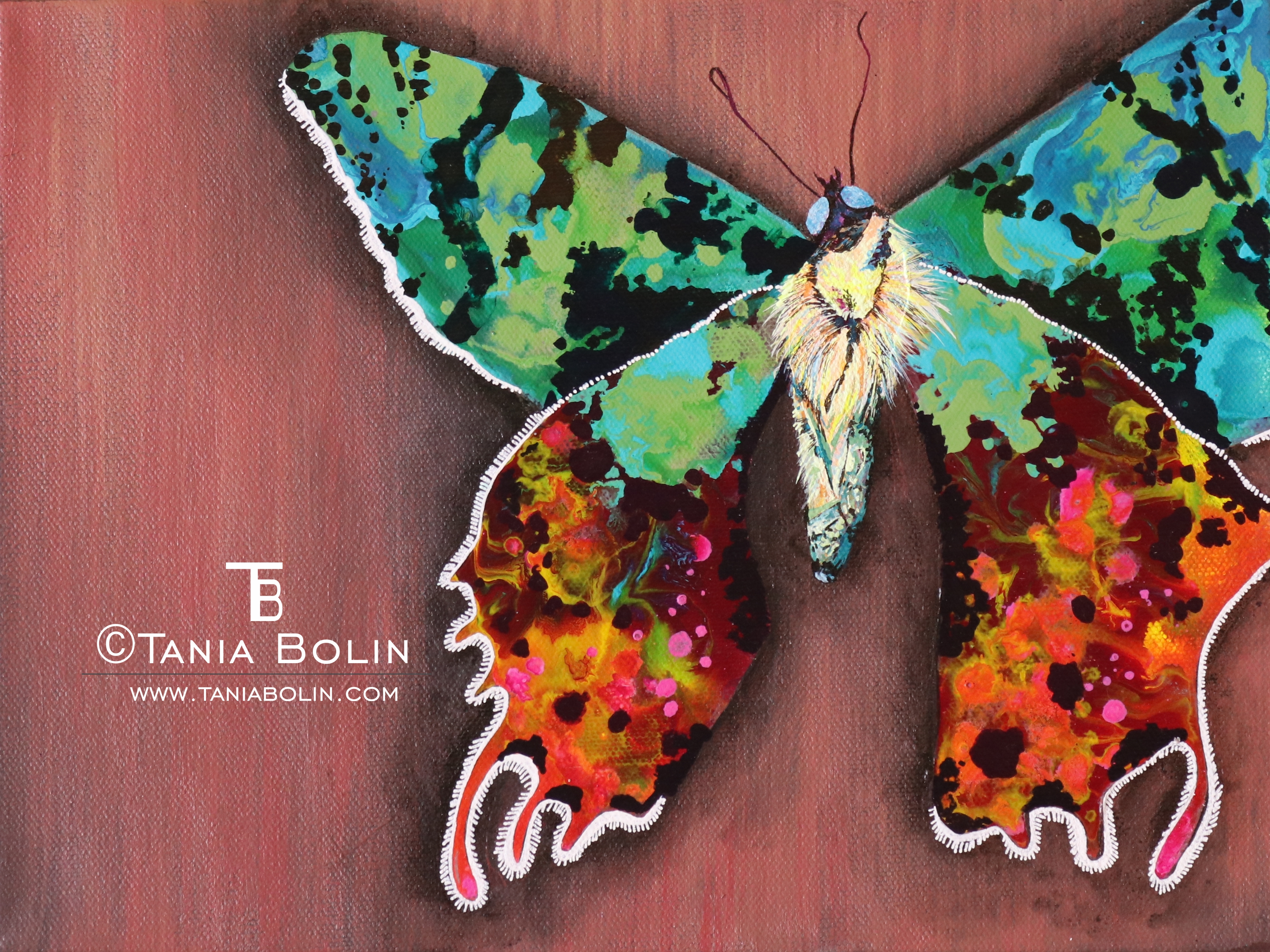 Sunset Moth