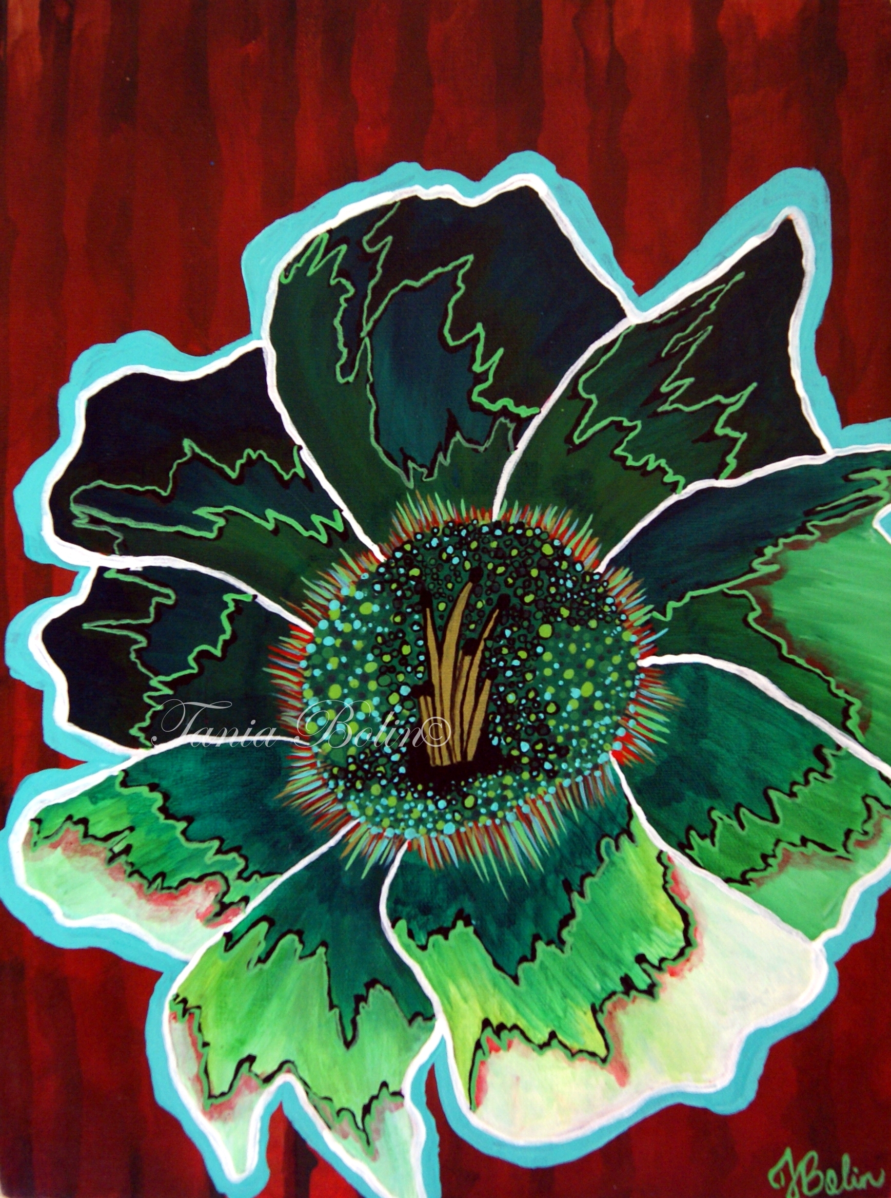 Saguaro Blossom