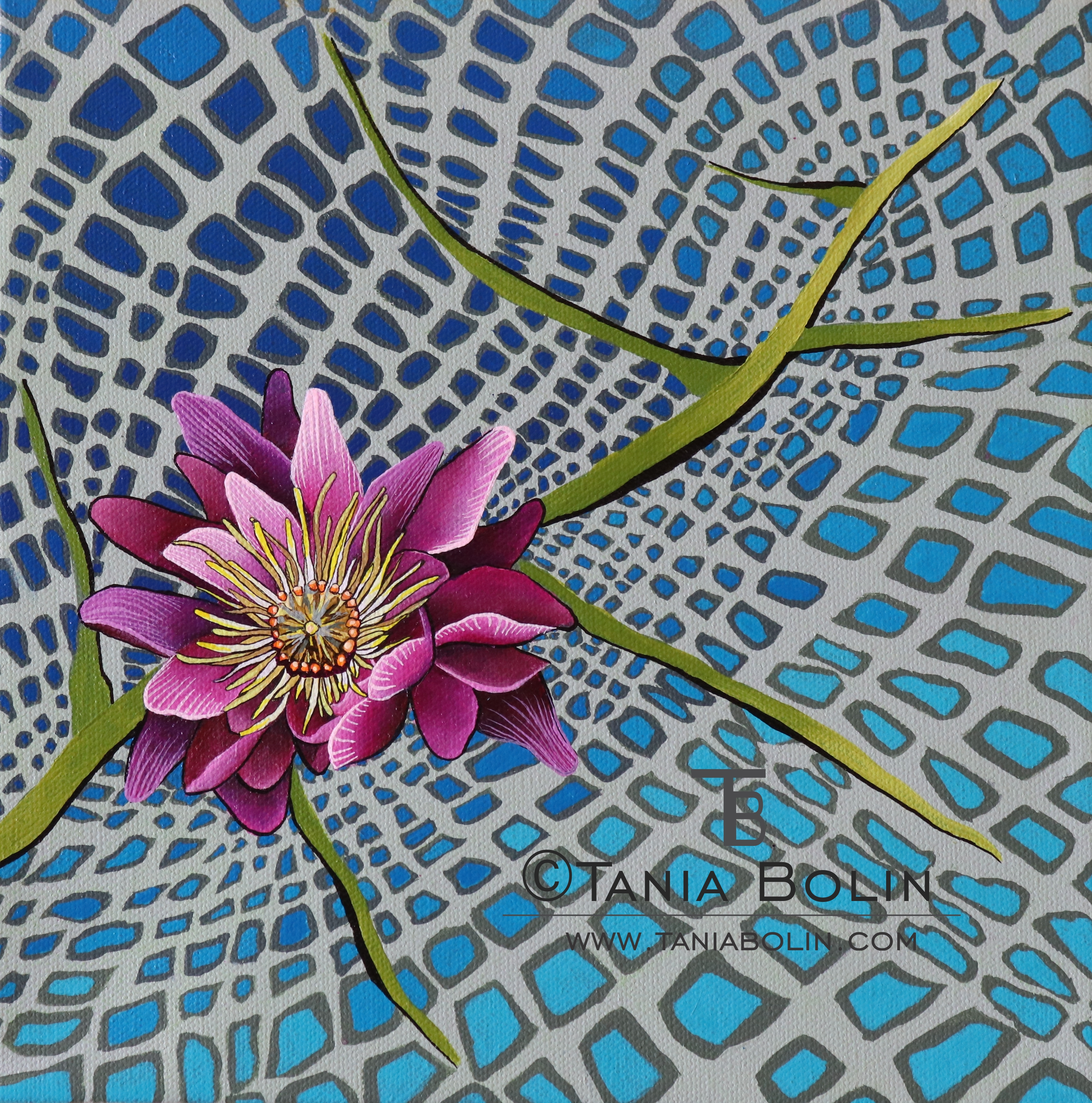 Lily Pad