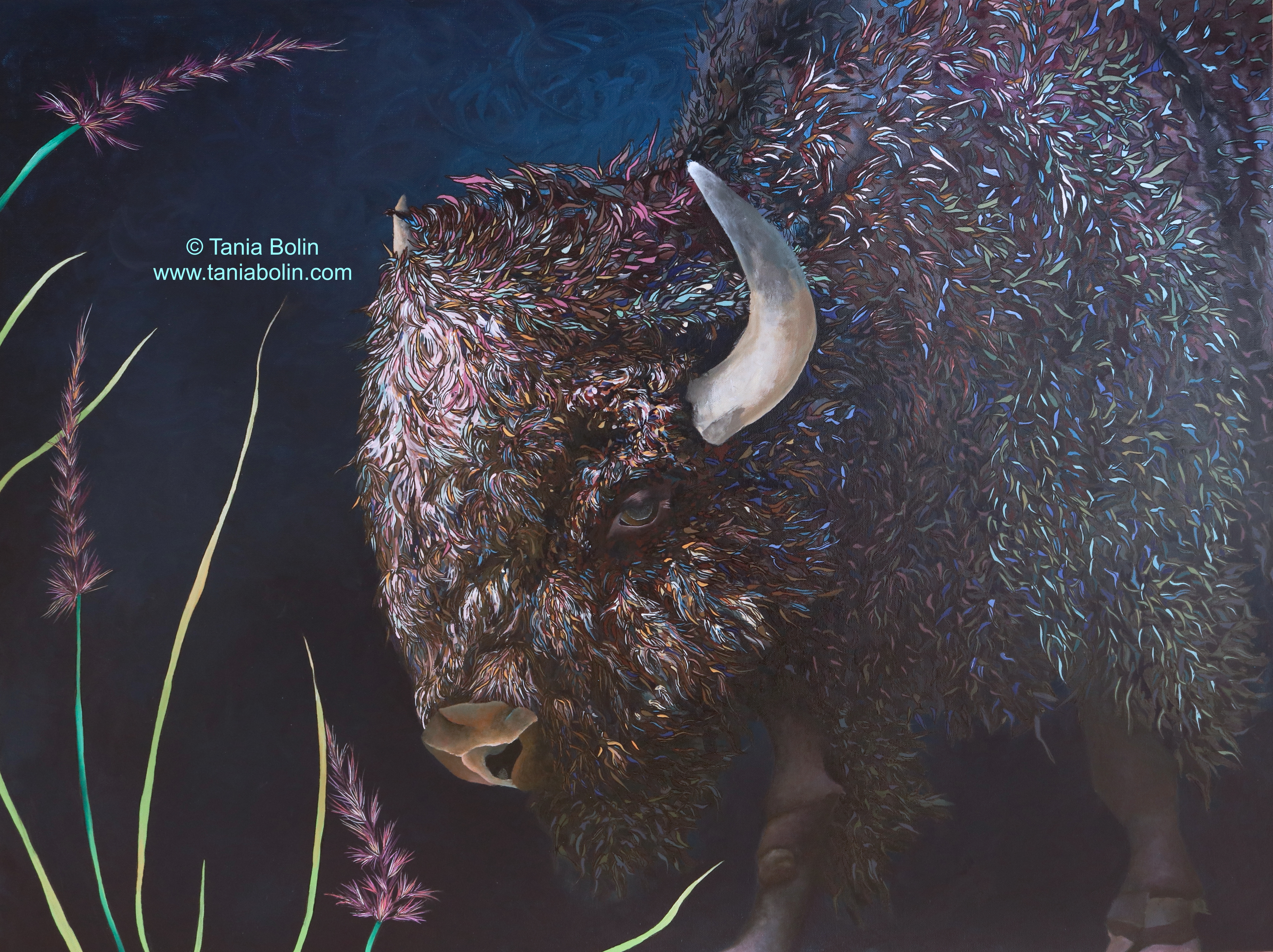 Burly Bison