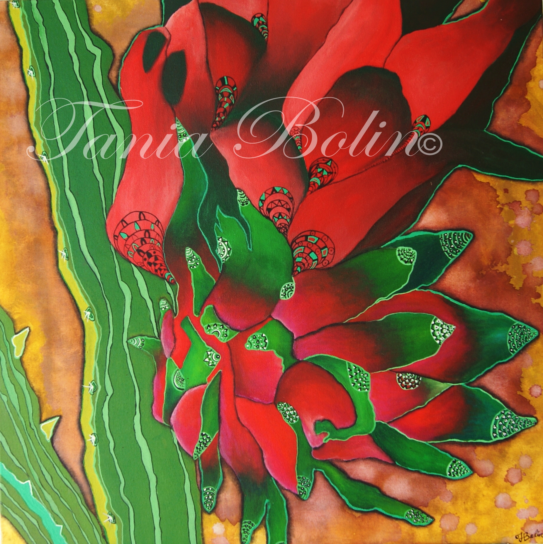 Dragon Fruit