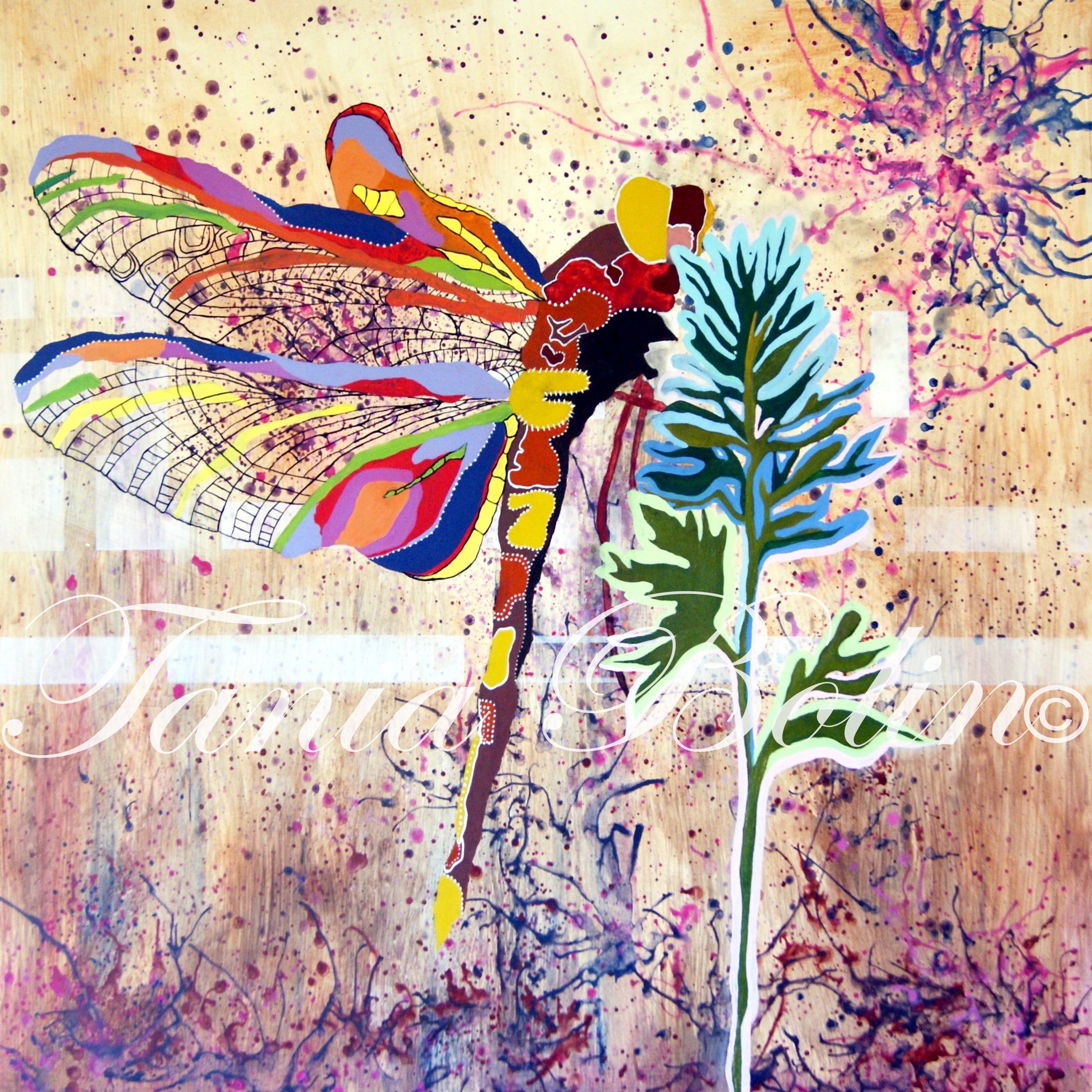 Dreamy Dragonfly