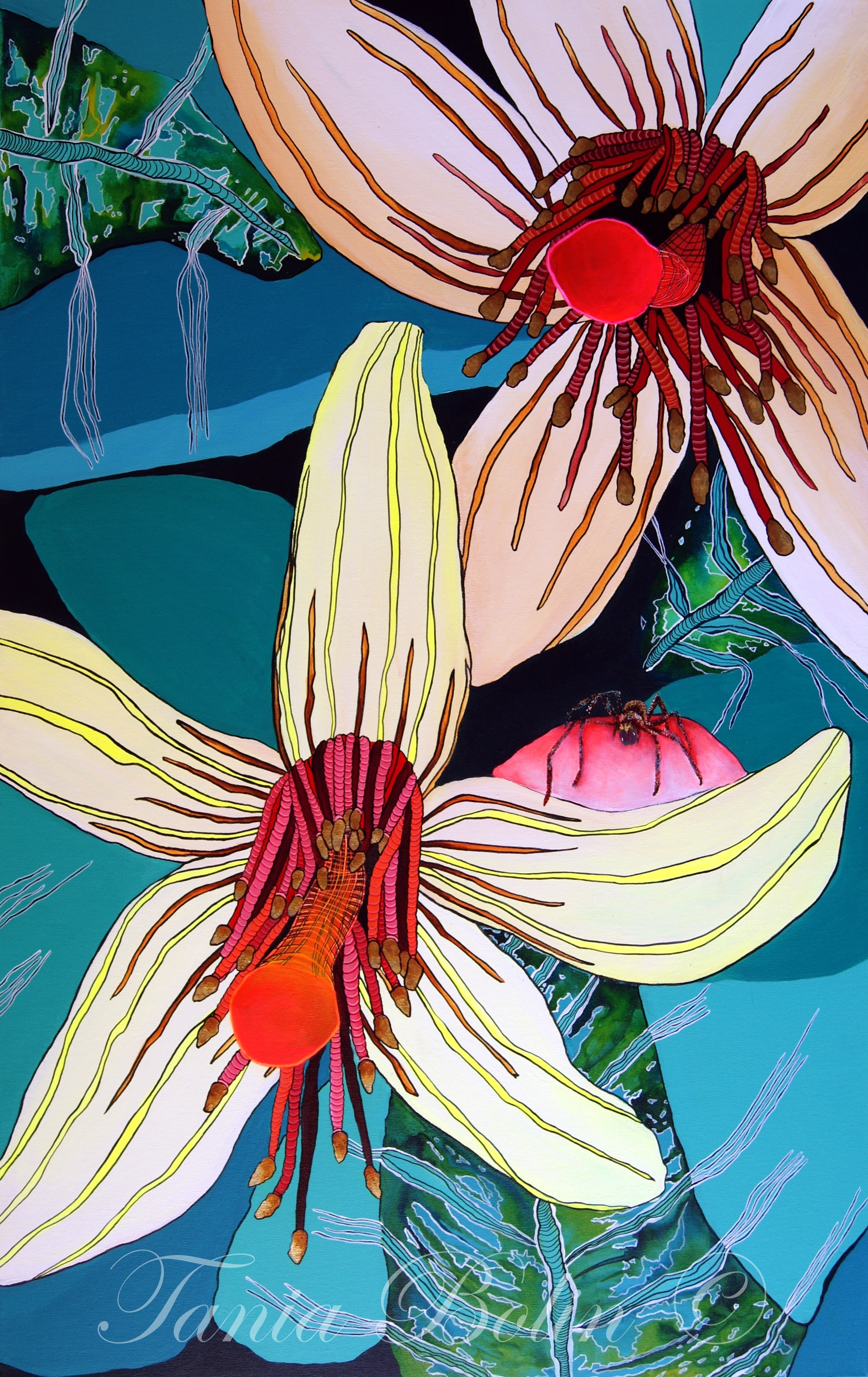 Flor de Araña