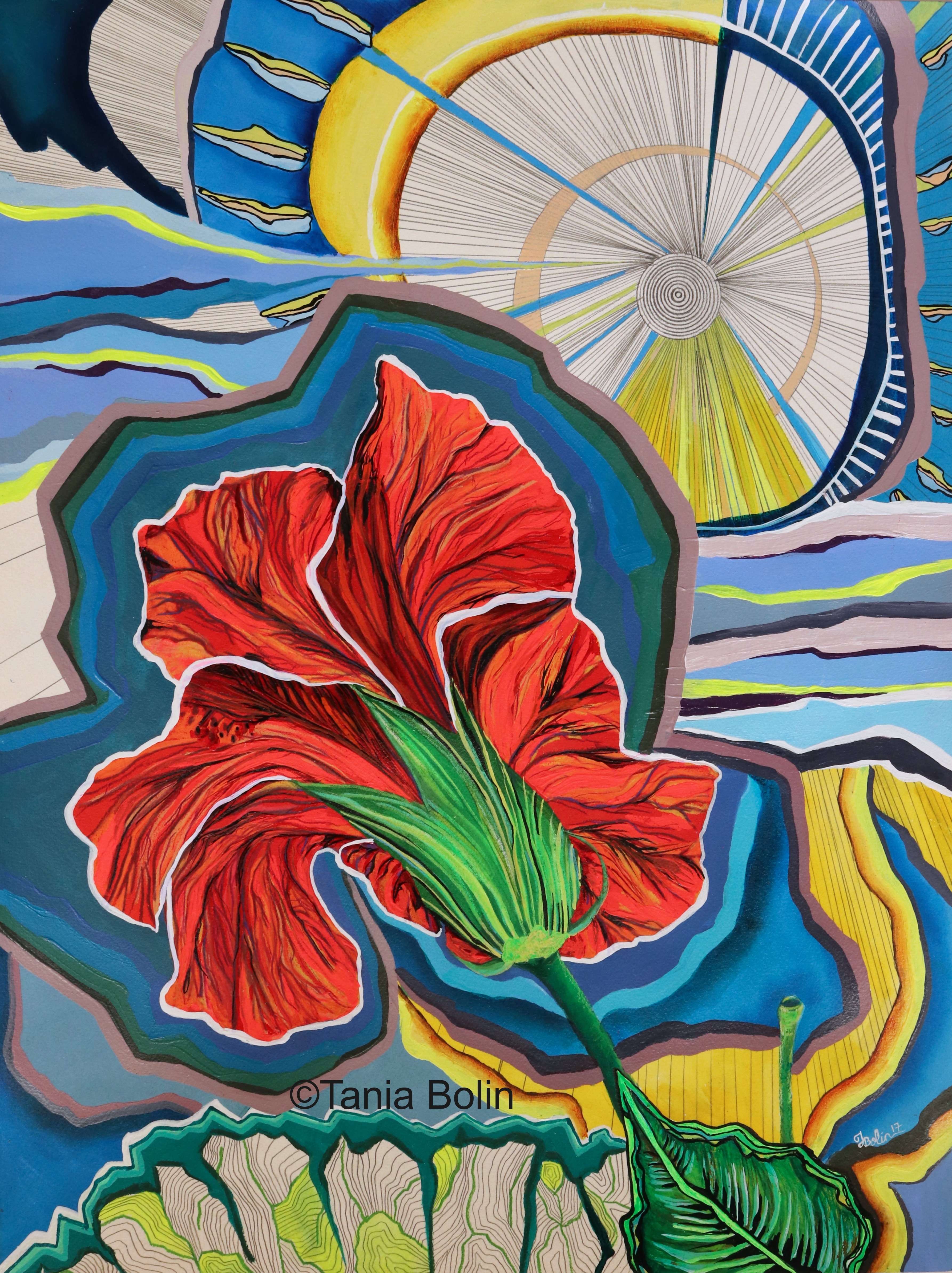 Hibiscus I