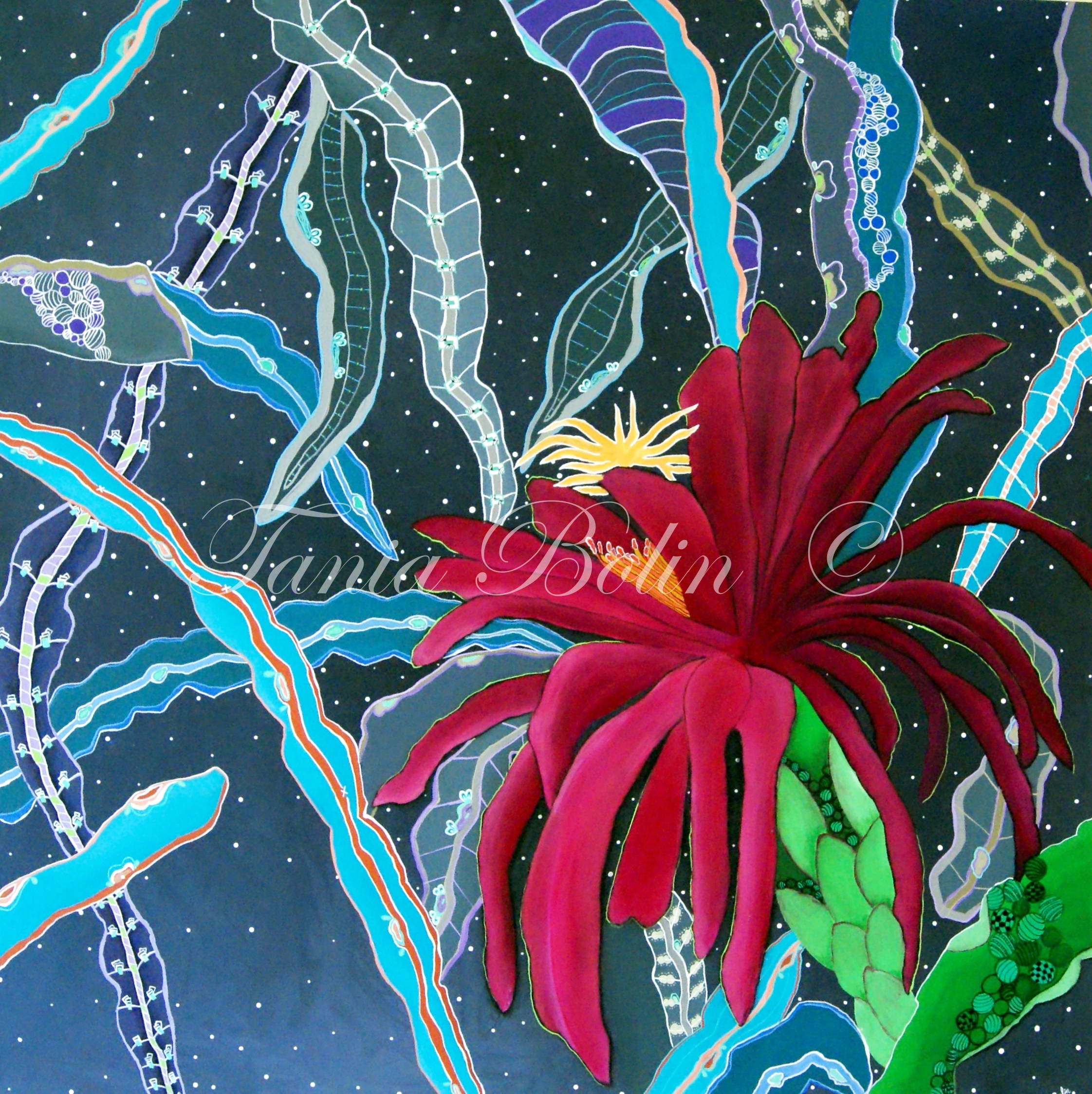 Flora Nocturna
