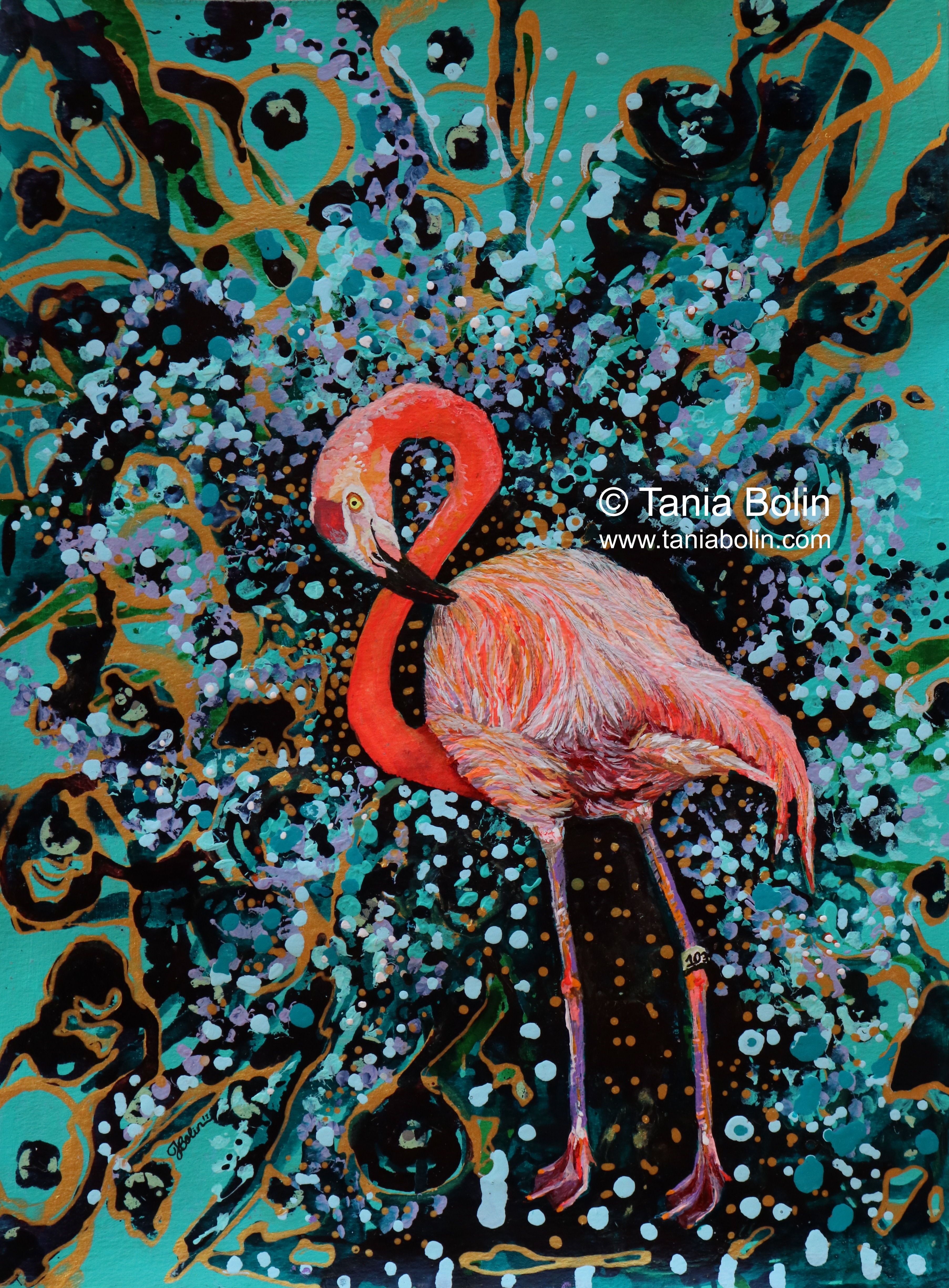 Flamingo Flamboyant