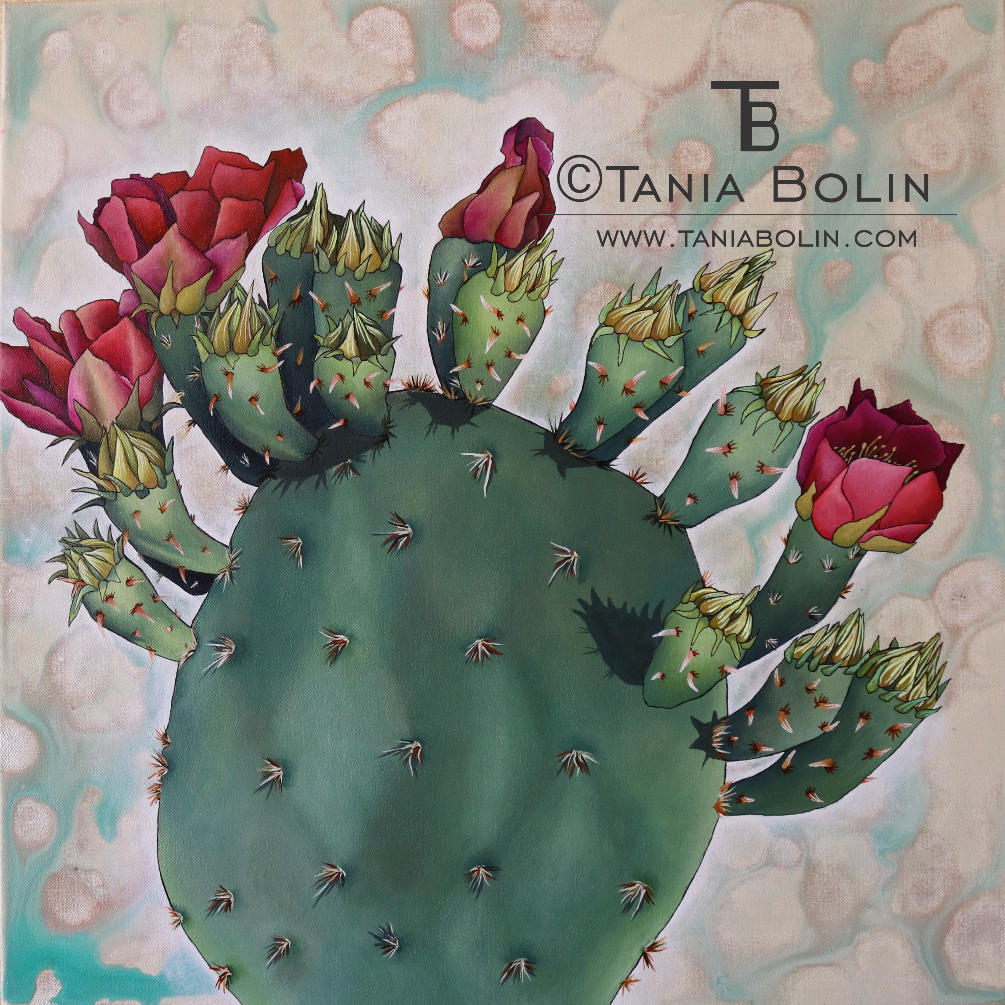 Nopal