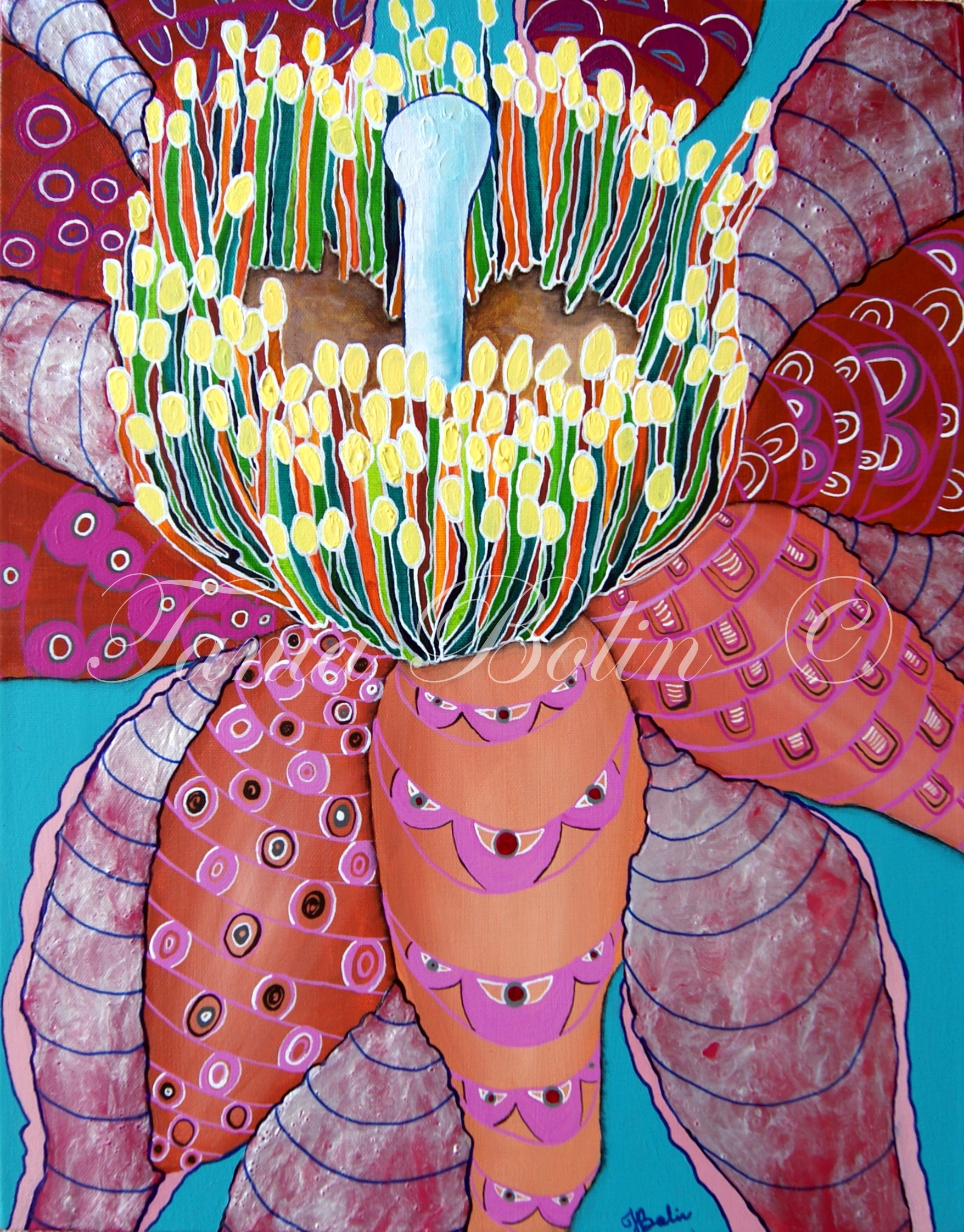 Flora Chromatic