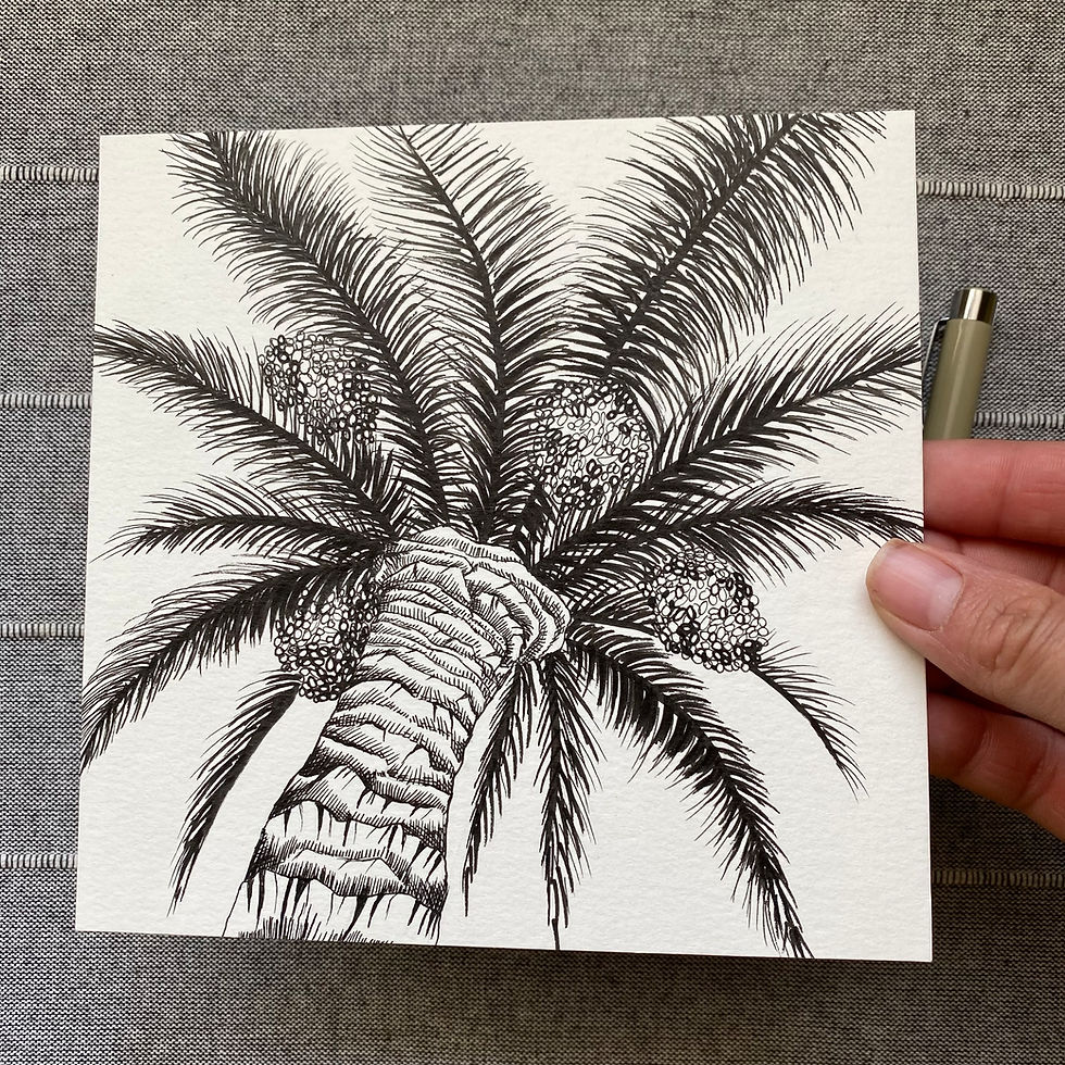 Thumbnail: Original drawing “Palmera”