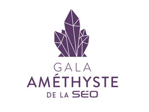 Les entrepreneurs de l’économie francophone  célébrés le 8 novembre Musée des beaux-arts d'Ottawa