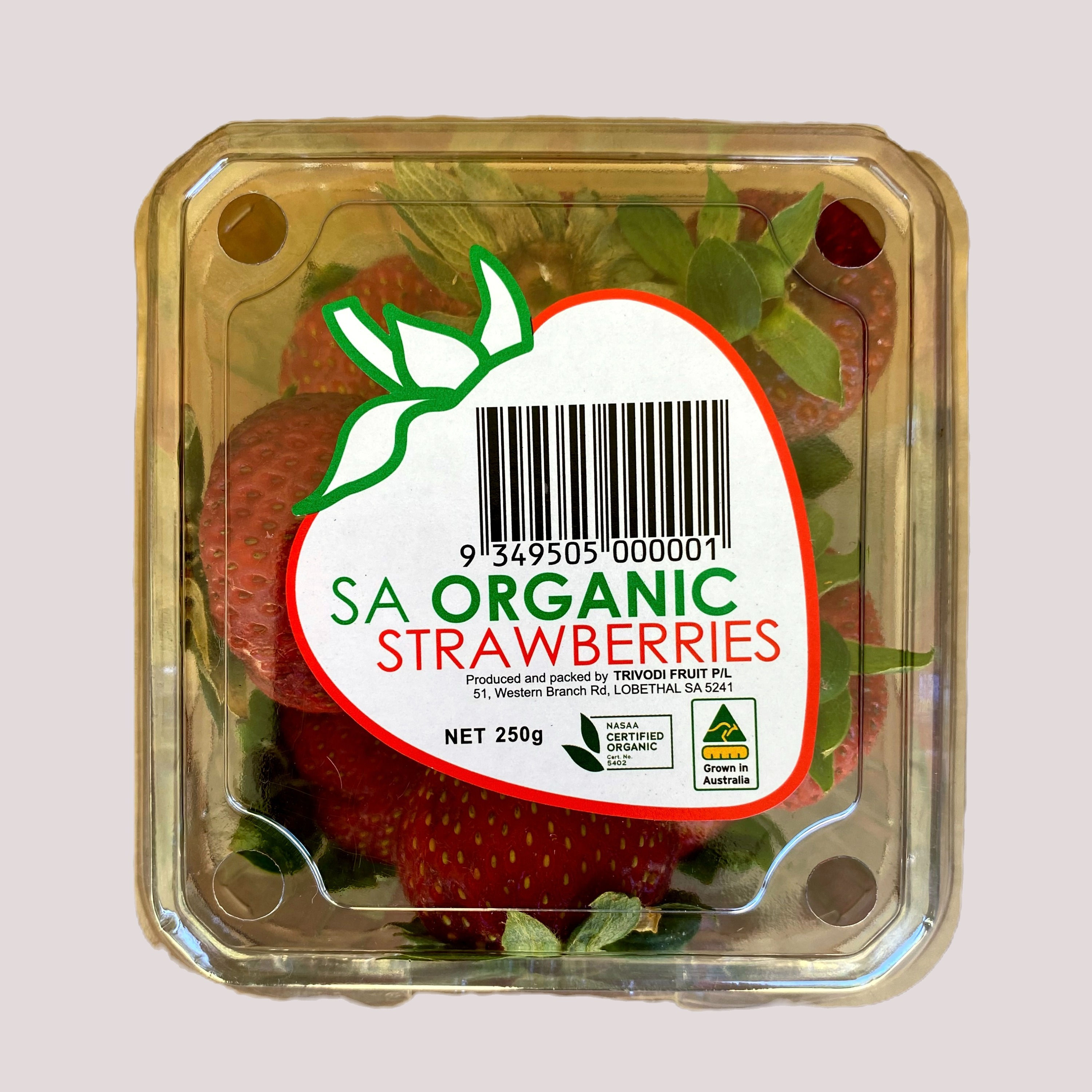 SA Organic Strawberry Punnet 