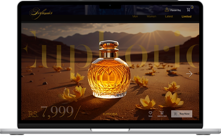 Product image for premium website