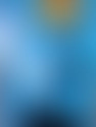 Os CFTV podem ser encontrados noz modos digitais ou analogicos.