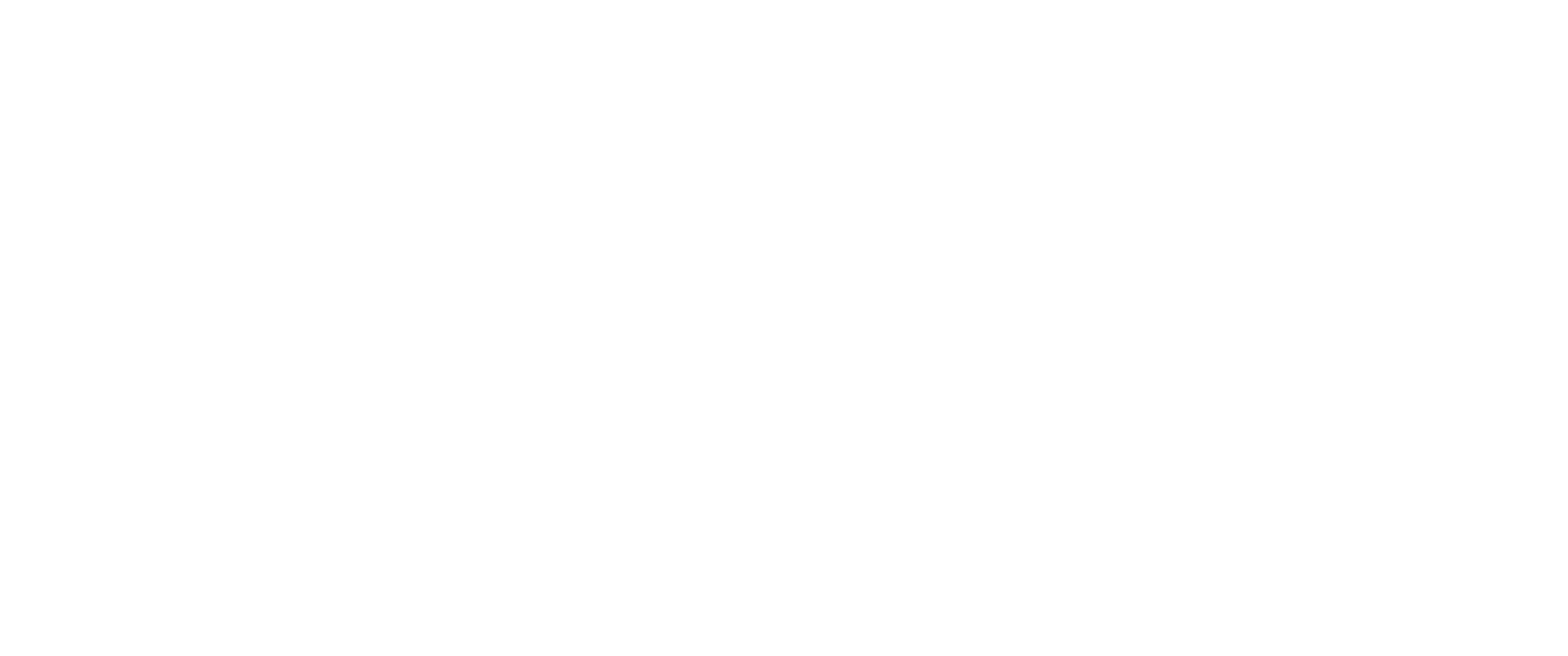 Long Logo White.png