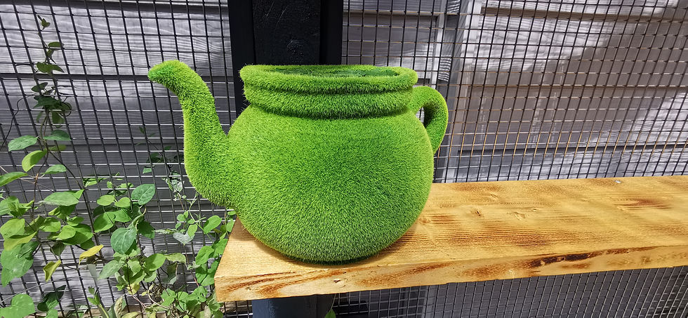 Catio 4