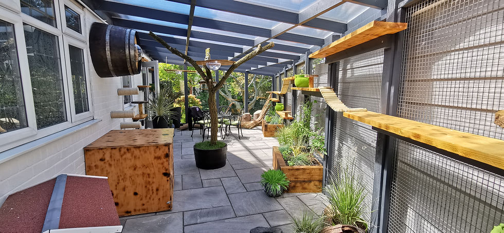 Catio 3