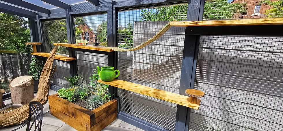 Catio 2