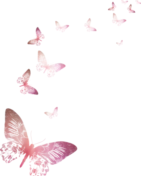 papillon.png