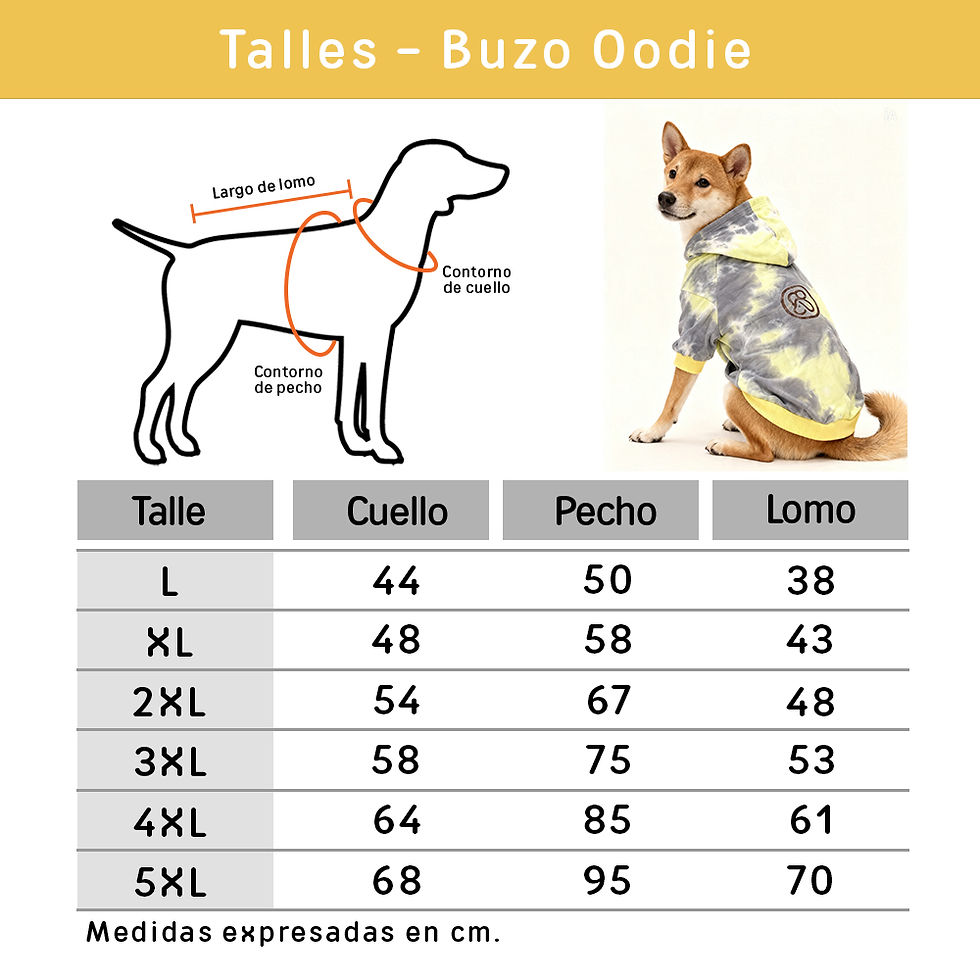 Miniatura: Buzo Oodie con capucha