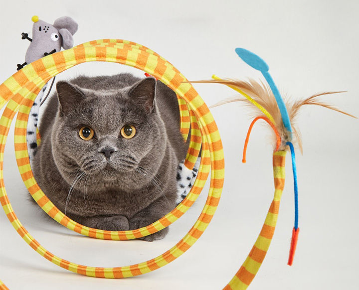 Miniatura: Juguete Espiral para gatos