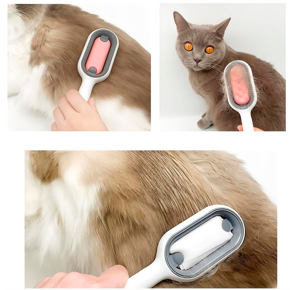 Miniatura: Cepillo para gatos o perros pequeños