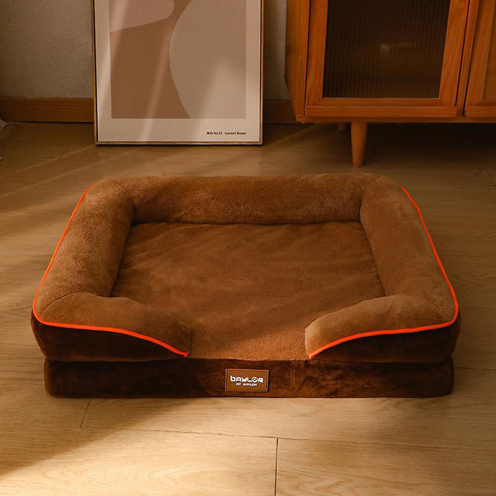 Miniatura: Cama Ortopédica Viscoelástica Baylor - Chica 71x55cm