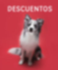 Mesa de trabajo 1 copia 2.jpg