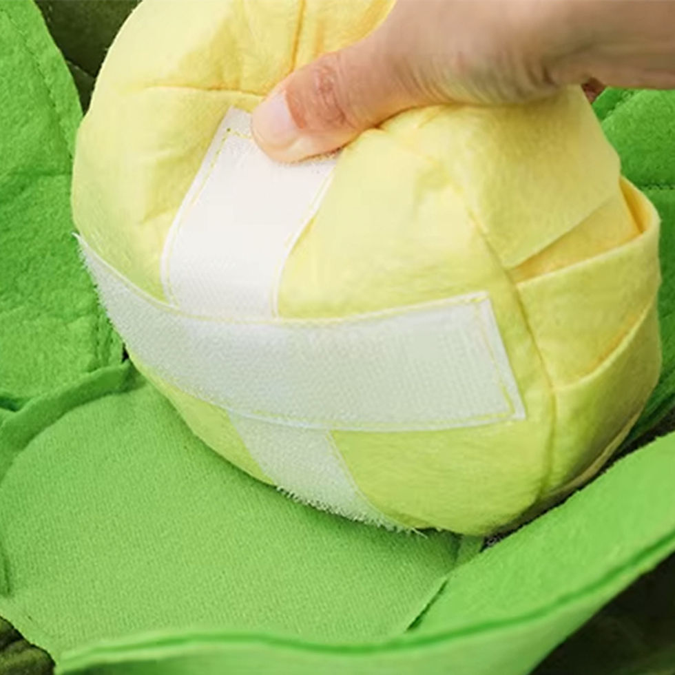 Miniatura: Juguete Olfativo - Repollo