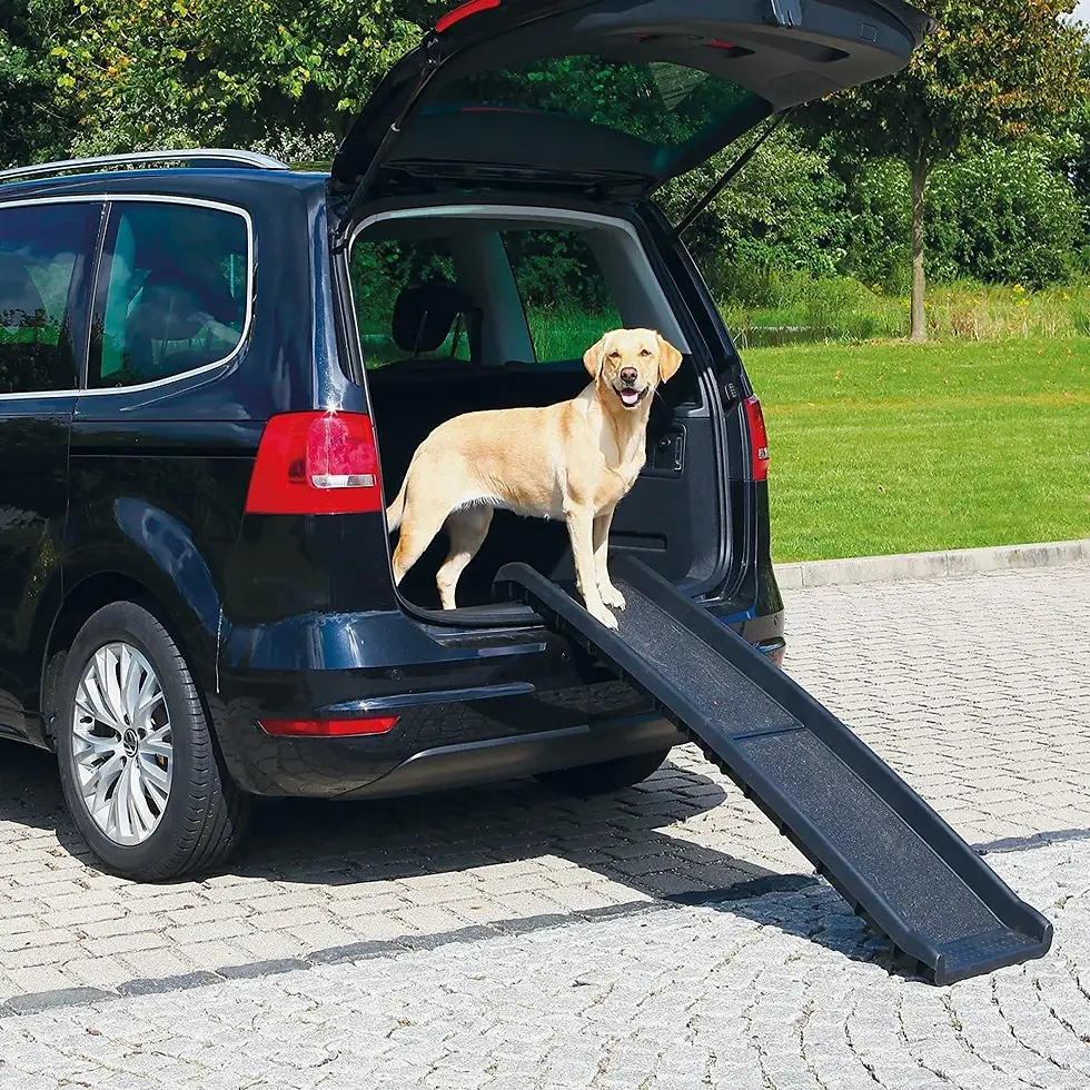 Miniatura: Rampa Plegable para mascotas
